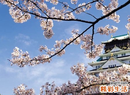 神仙微信名
