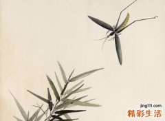 搞怪的网名
