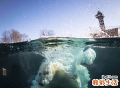 高冷名字男生版