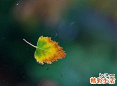 表明心已死昵称
