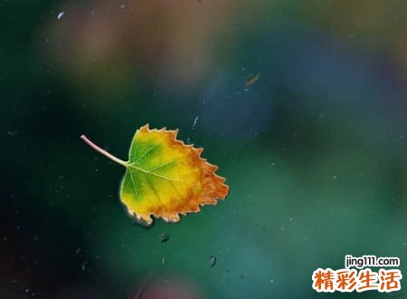 表明心已死昵称