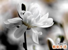 遗憾错过的网名