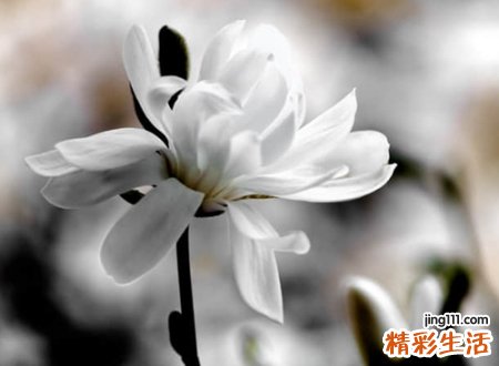 遗憾错过的网名