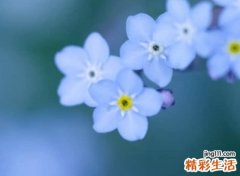 二字古风名字