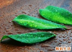 佛系网名