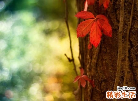 超暖治愈系网名