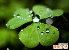 中年微信名