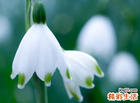 表示遗憾的网名