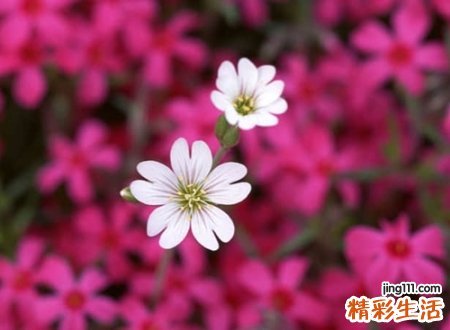 好听的非主流名称