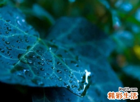 高冷的名字