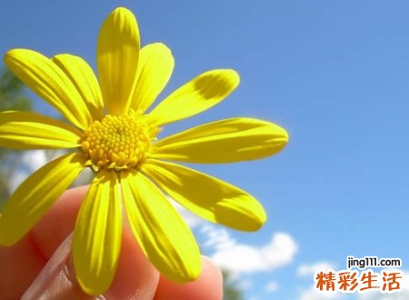 风雅的网名
