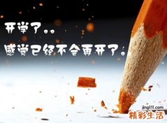 qq网名个性版