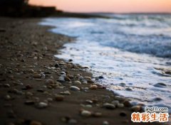 第五人格游戏名字