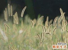 彻底寒心的网名