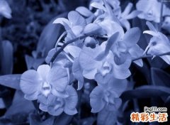 罕见好听的八字网名