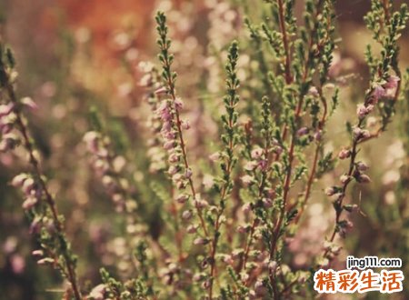 一个字的游戏名