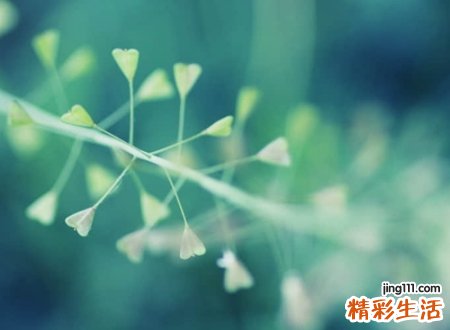 四个字诗意古风网名