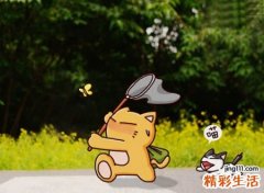 霸气又逗比的群名字