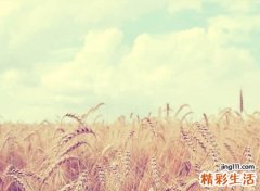 修心养性的网名