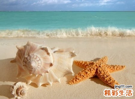 比较骚气的网名