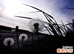 心凉心累的昵称
