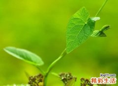 表示遗憾的名字