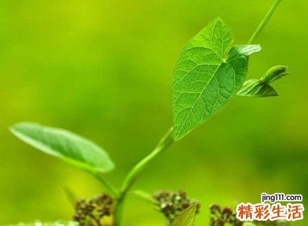 表示遗憾的名字