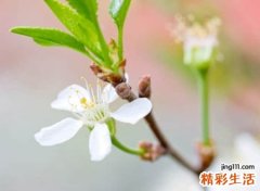 适合中年人的抖音网名