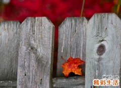 比较诗意的名字