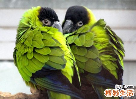 四个字的情侣网名
