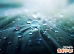 丧且温柔的昵称