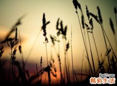 深奥的微信名字