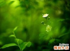 傻傻的微信昵称