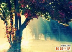 微信最好的名字