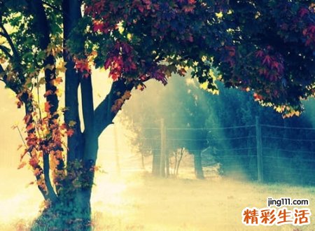 微信最好的名字