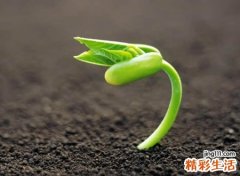 两个字的微商昵称