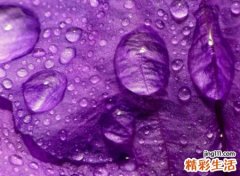 微信好听的昵称