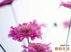 简单大方的微信名