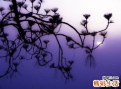 网易云网名伤感版