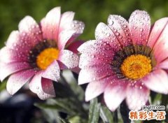 适合微信的名字