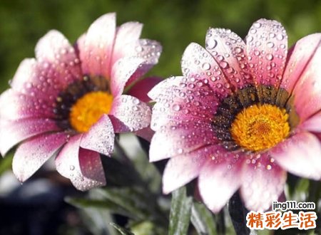 适合微信的名字