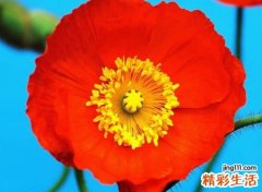 最新的微信昵称