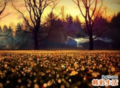 2个字的唯美名字