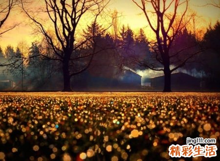 2个字的唯美名字