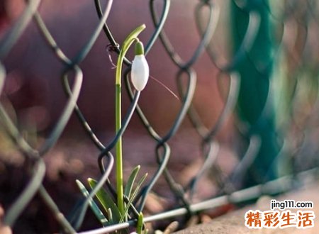 响亮霸气的队名