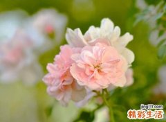 80后微信网名