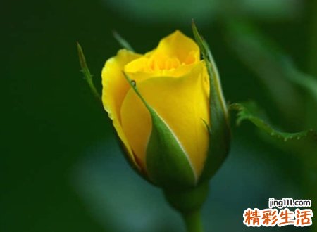 稳重大气的网名