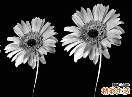 网易云伤感名字
