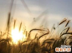 稀少好听的笔名