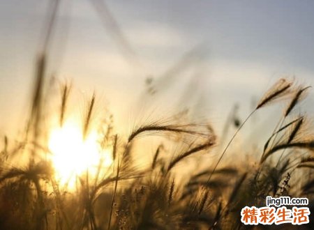 稀少好听的笔名